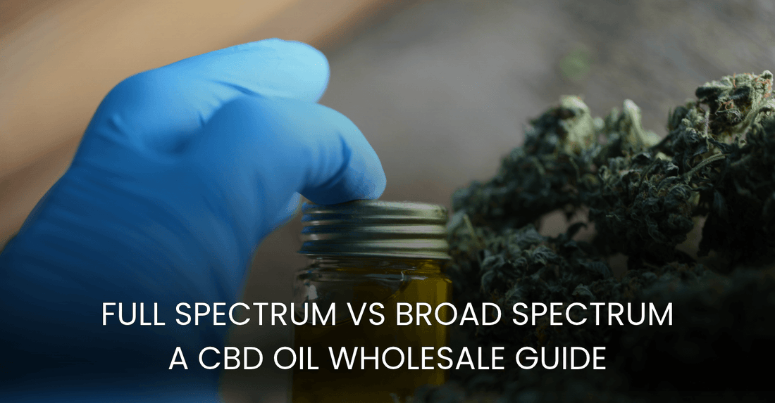 Full Spectrum vs Broad Spectrum: A CBD Oil Wholesale Guide